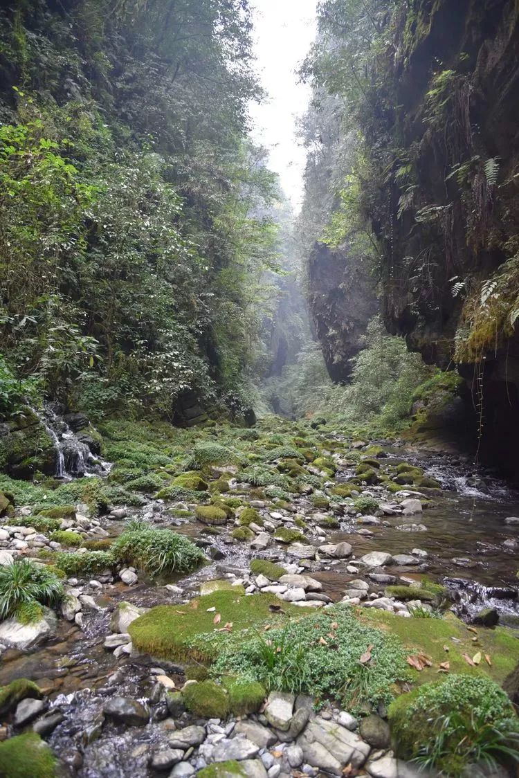 龙山县瓦房乡有多少人口_龙山县洛塔乡列坝村