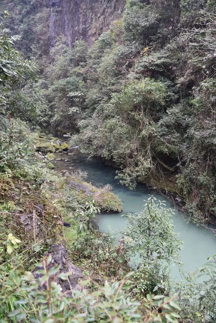 龙山县瓦房乡有多少人口_龙山县洛塔乡列坝村