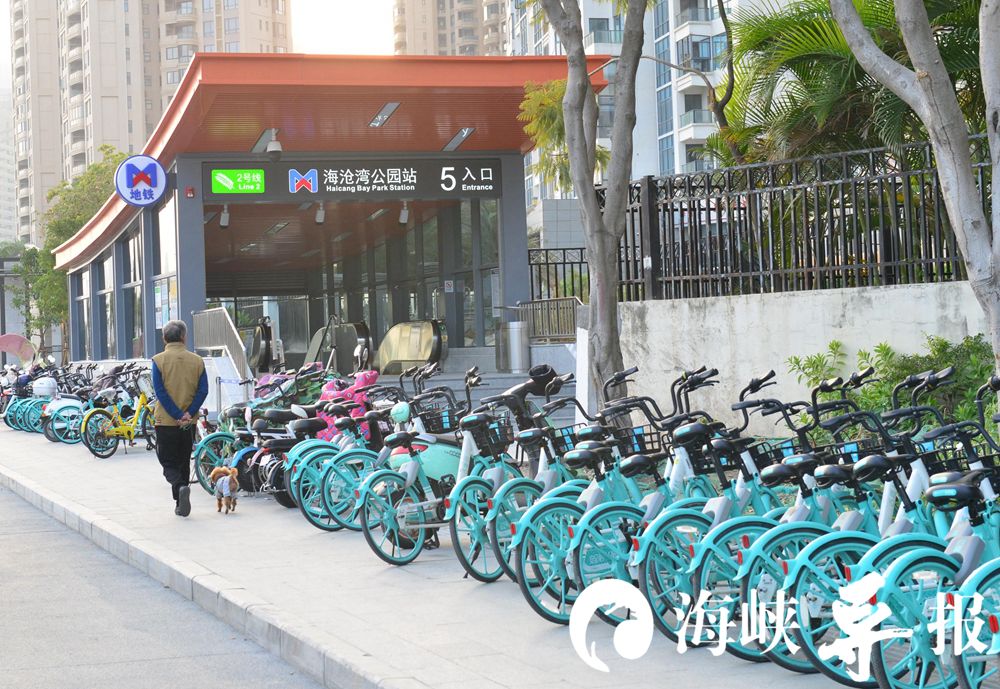 2号线地铁口成共享单车