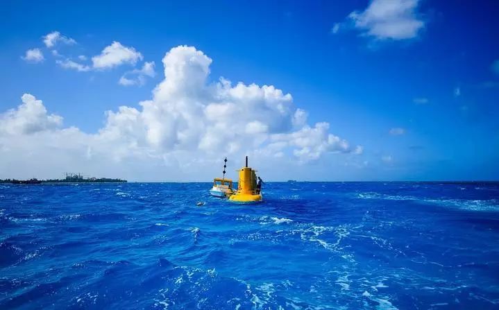 美国唯一对中国免签地,70%新生儿为华人,七色