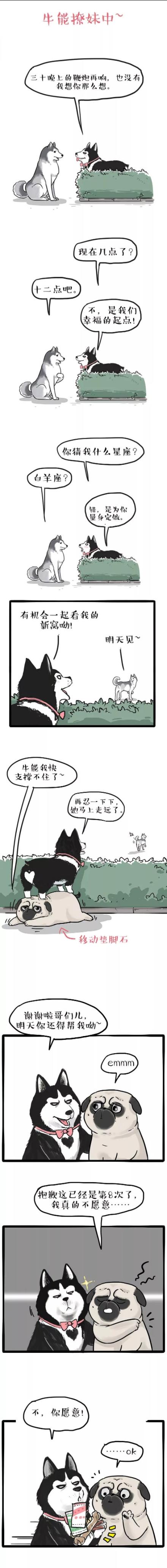 漫画之牛能撩妹