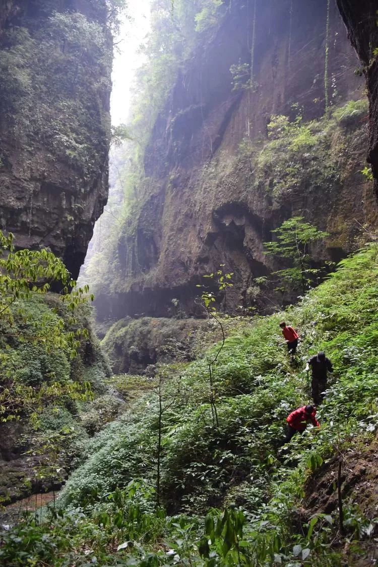 龙山县瓦房乡有多少人口_龙山县洛塔乡列坝村