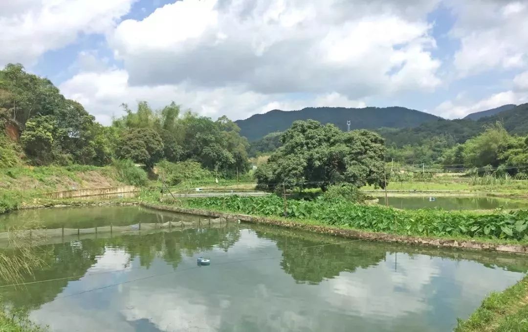 阳春潭水镇人口_阳春镇旅馆