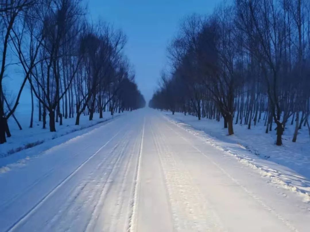 青冈境内又一次迎来了大范围降雪天气过程,降雪呈逐渐加大趋势,有风吹