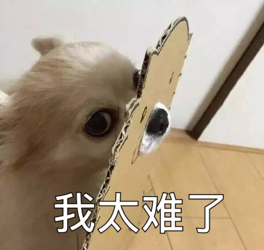 "有个玩cosplay的主人,我活的太难了!