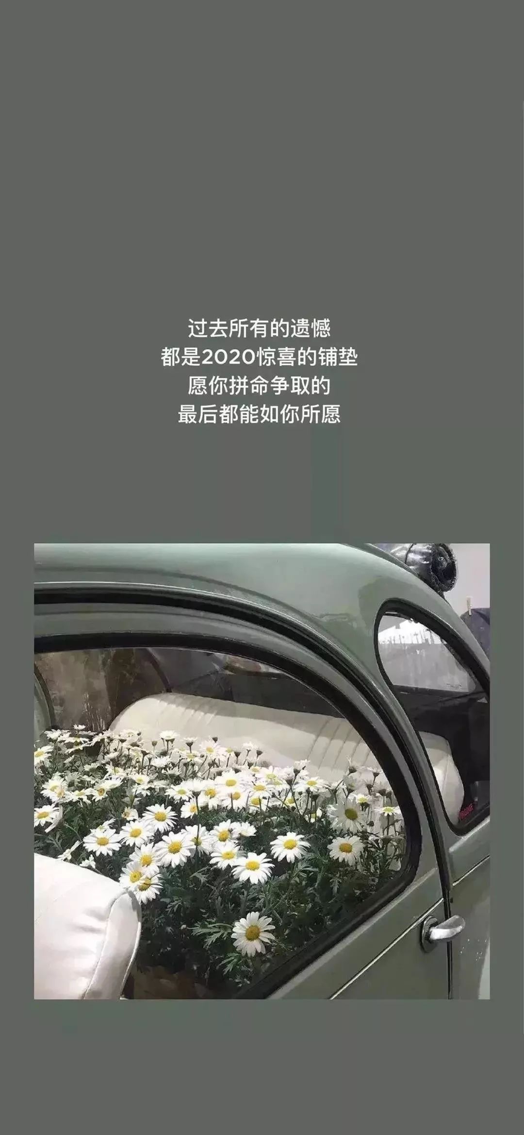 抖音热门潮图壁纸 I 没钱别撩娇美娘 不信你问武