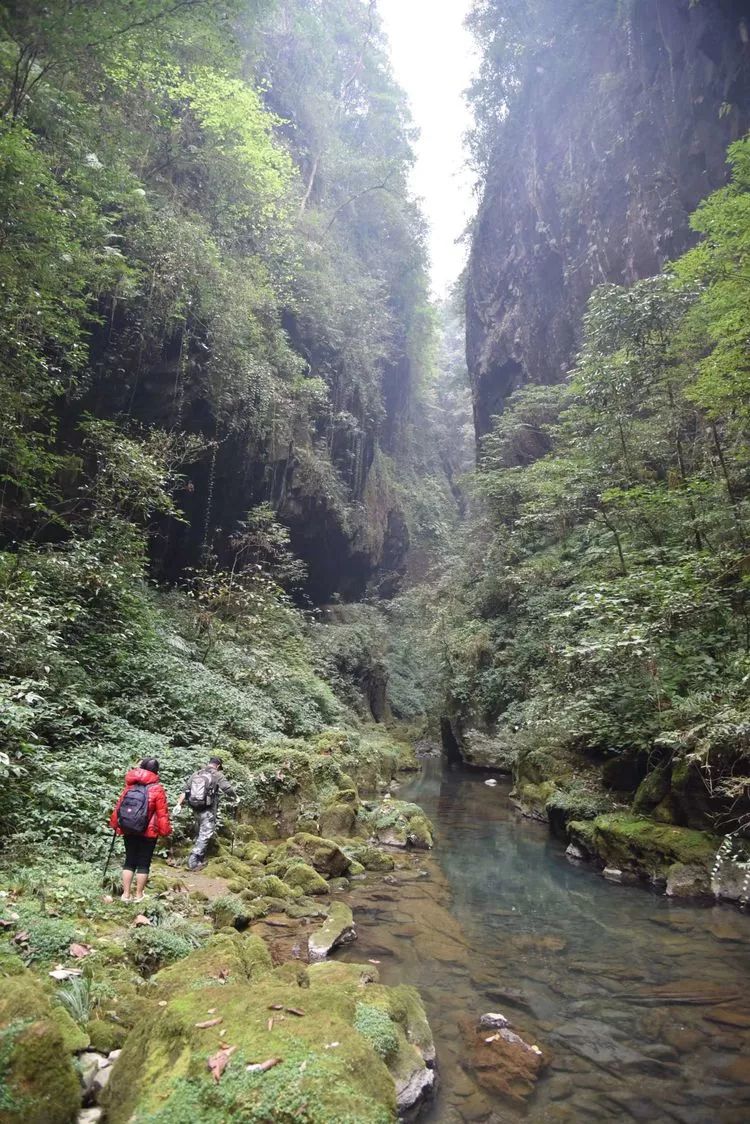 龙山县瓦房乡有多少人口_龙山县洛塔乡列坝村