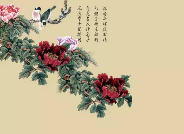 牡丹花一般画多少朵 ea8a2bf5fae6482b8bde3823a28c9f07.jpeg