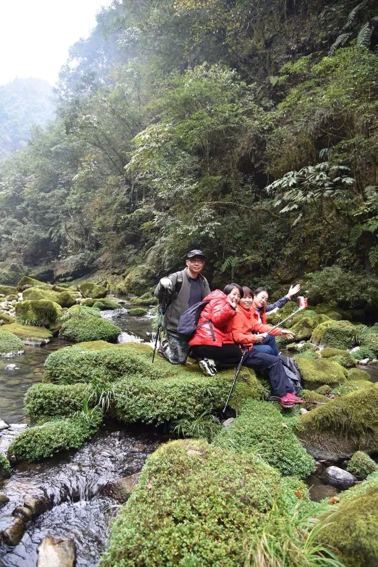 龙山县瓦房乡有多少人口_龙山县洛塔乡列坝村