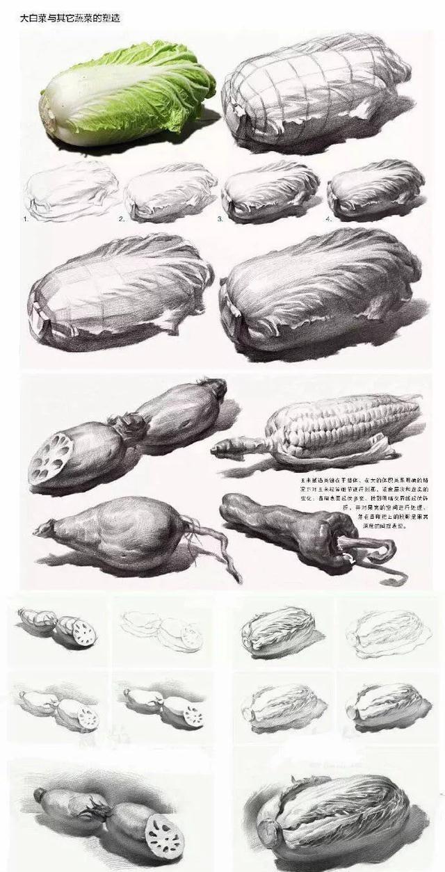 【沈阳顶点画室】适合初学者的素描静物单体结构,你