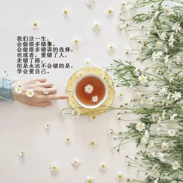 ef9faaa05a404ee4900a00973d6a7c44.jpeg