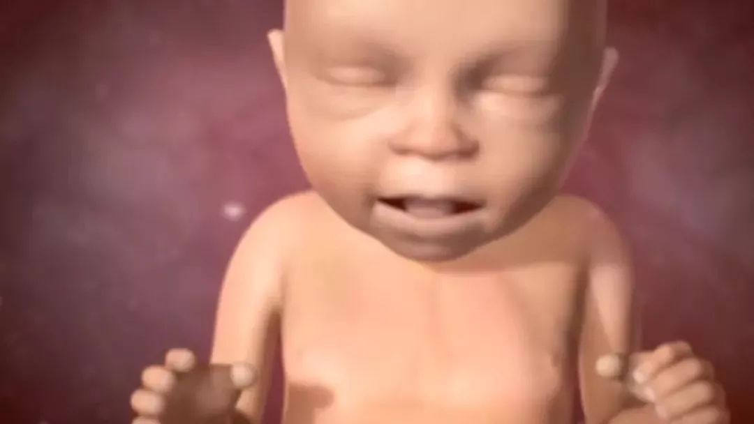 怀孕肚子一跳一跳的怎么回事 f122d505591e4e04af547bcc8f2b140d.jpeg