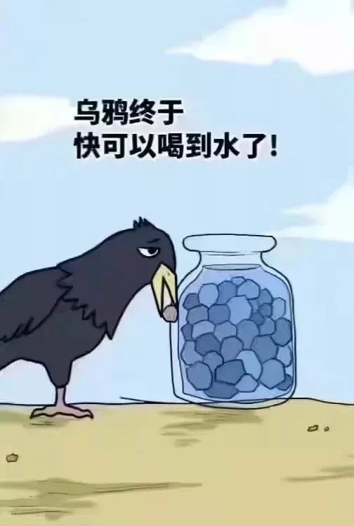 f45a3164cb6f484cb0f91783e2d91cf9.jpeg