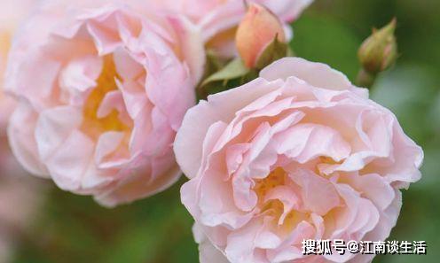 f4eb928e9a344abbb18d662cf5edbb99.jpeg
