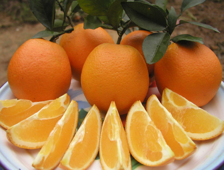 002d9cbafe774f6ebba0413657d21973.png