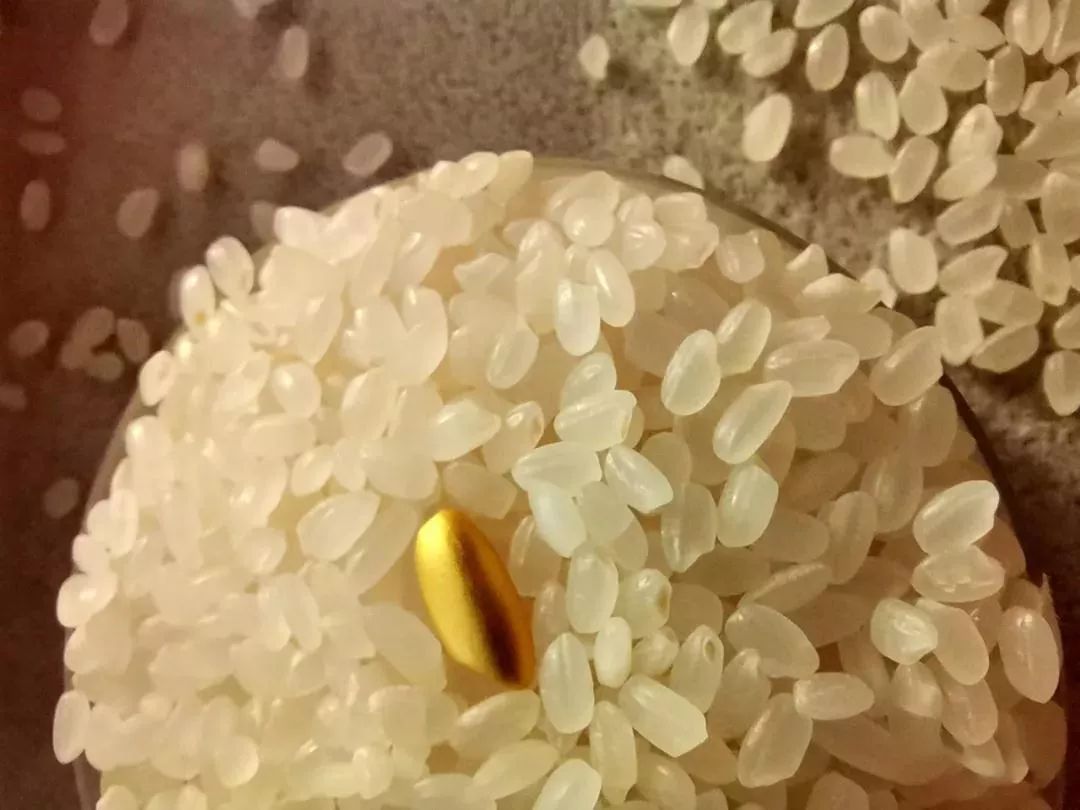 金米到来，鼠年有米！