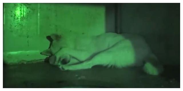 怎样才算失去贞洁 09e4bc796cf44179b5ea7d74a16a27f8.jpeg