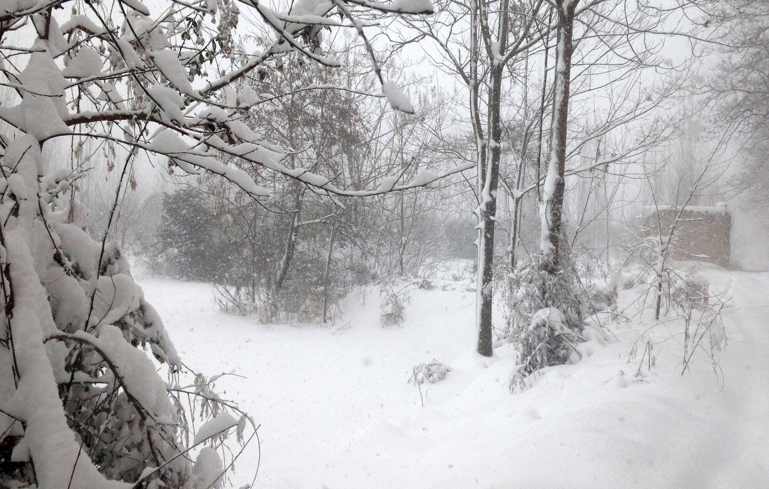 什么雪什么皑成语_雪之下雪乃(4)