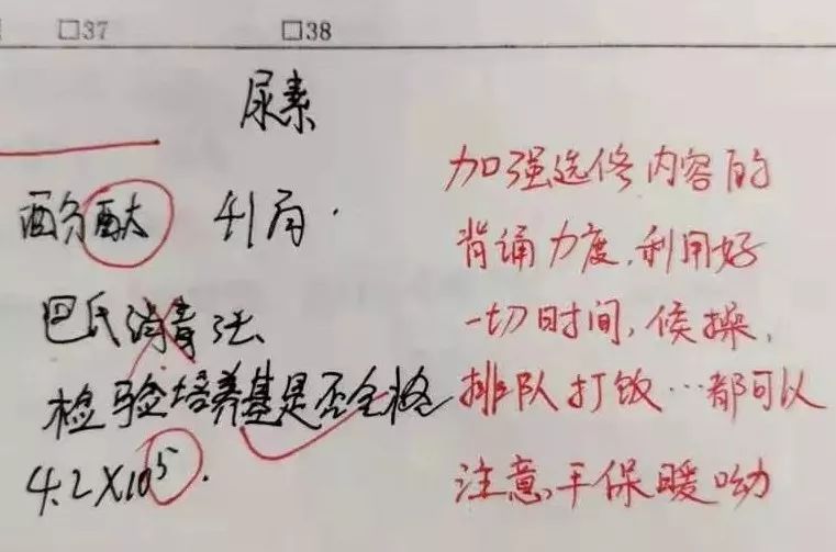 宋丽曲谱_宋丽写真集(2)