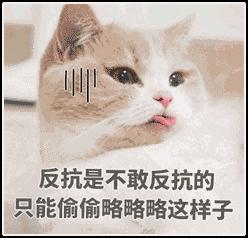 12f5310b91b946b68951c1c88d5fe4fb.jpeg