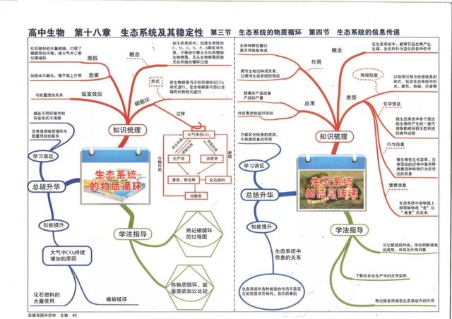 高考干货期末复习必备高中生物万能思维导图