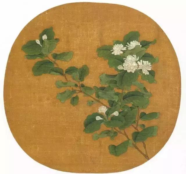 赵昌《写生杏花图》
