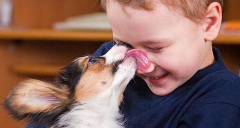 被自家狗舔了一口,他暴毙身亡!多人因此毁容、失去双腿双手!每年都有几十万人因此病生不如死!