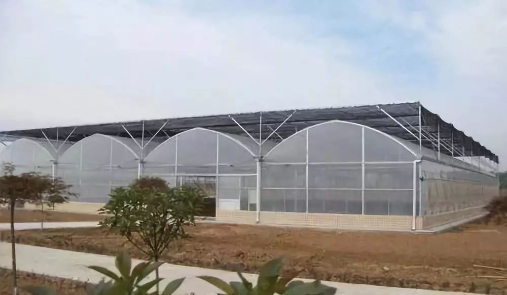 塑料大棚的原理_连栋薄膜温室的光照调控原理是什么
