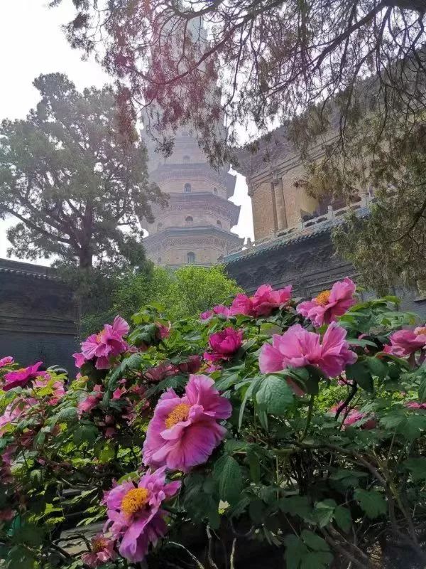 宝光大盛|就在明天,太原双塔博物馆《宝贤堂集古法帖》首次面向公众