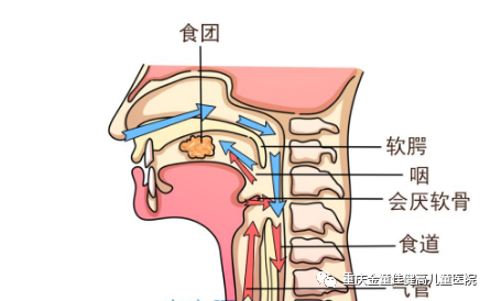 什么方法快速止鼻涕 497a77756d6b45bd98d89b290b025c07.png