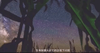 4cd1f1a71e894c1abd1a39fac9b683e6.gif