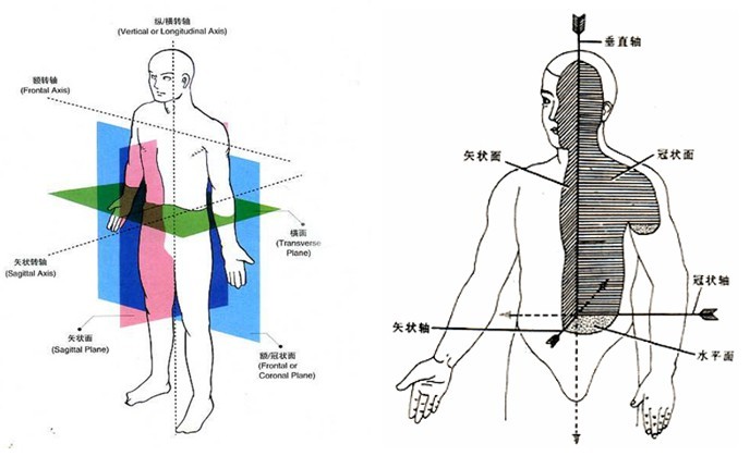 人体的运动是三维立体的状态,你施加的压力在哪,所产生的效果就在哪里