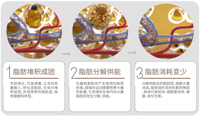 527bb83255d04a51beedc4905ab777f3.png