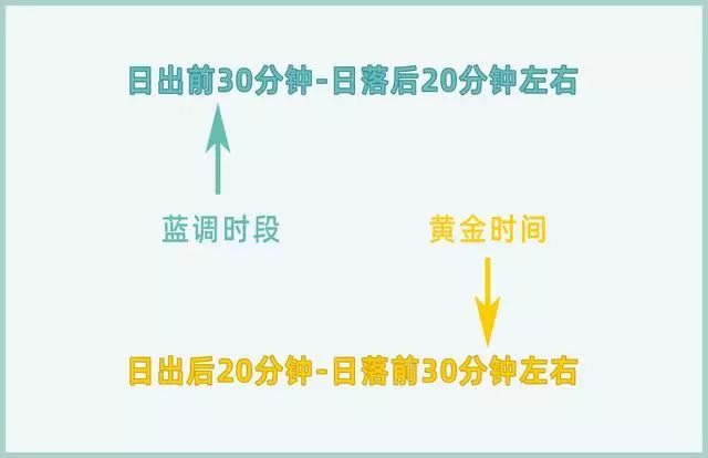 5976b3e538434870b8d72e2a15af3653.jpeg