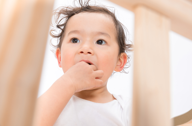 几个月补钙最合适 5b3b28c5c6434c2e9367ec2889475e36.png