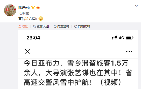 張藝謀享特權？老婆陳婷直接拿事實說話，一家人坐綠皮火車好有愛 娛樂 第2張