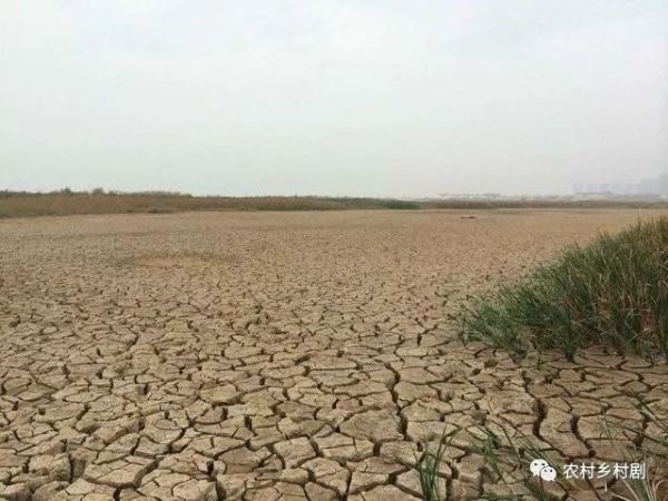 原创承包土地种柑橘，赚钱了村民的死亡威胁也来了，桂林女子赔了