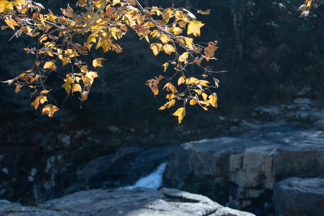 福州冬日赏秋，皇帝洞徒步4小时记