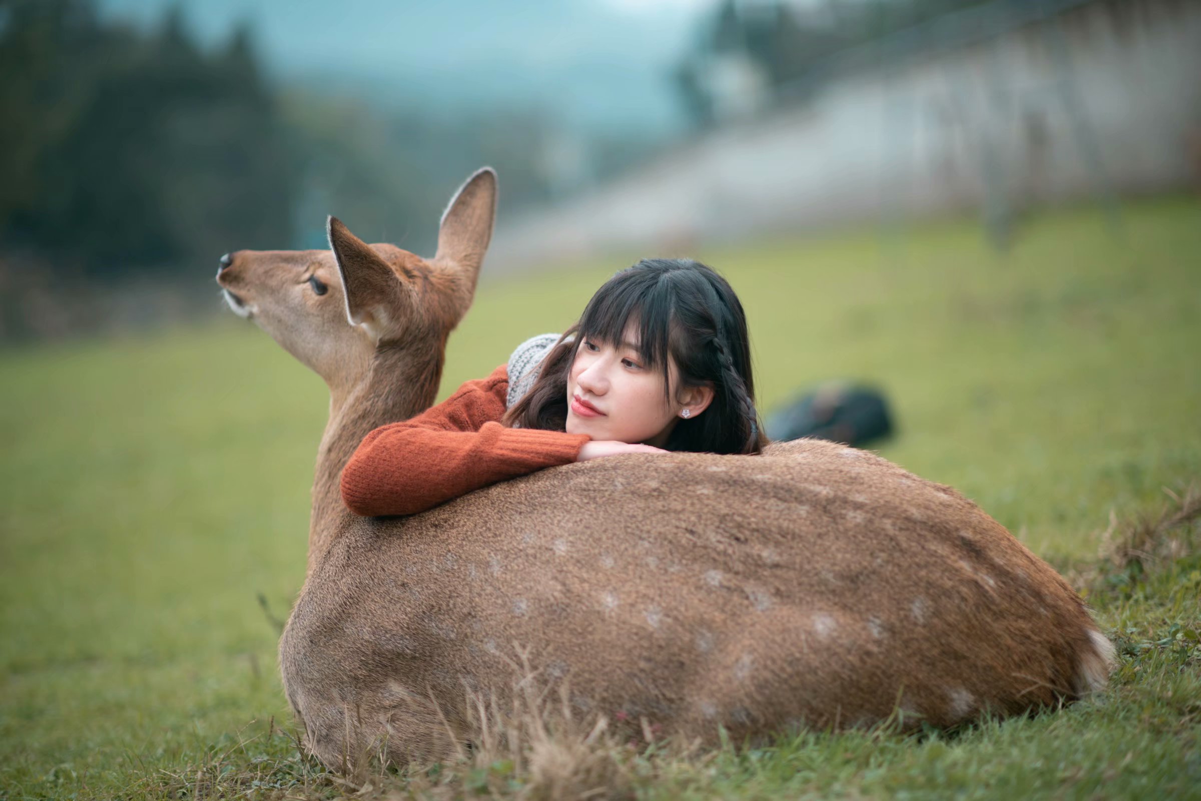 鹿鹿县有多少人口_吉林有多少人口