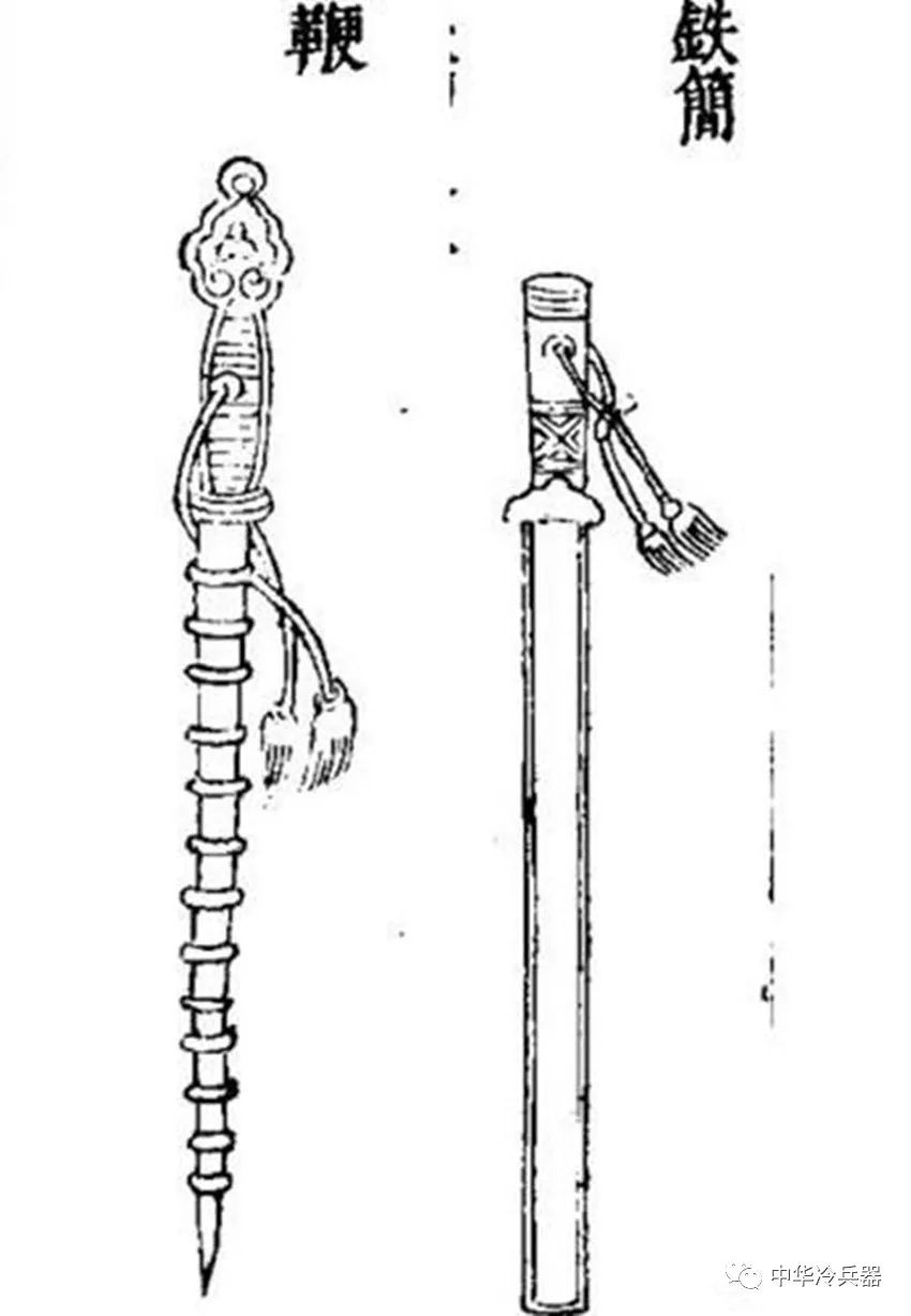 多节鞭 7da44740af3d418e96466884529e0965.jpeg