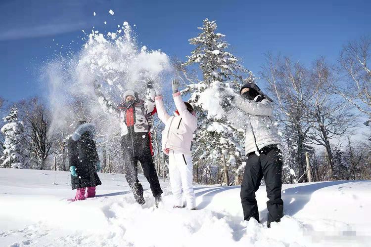 张艺谋家人雪山遇暴雪受困，妻子陈婷发文感谢交警遭网友狂喷！