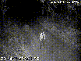 老人亡故死因扑朔迷离河南郑州交警抽丝剥茧迅速破案