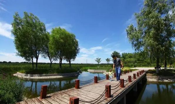 【重磅消息】宝坻潮白河国家湿地公园通过国家验收,成为首批国家级