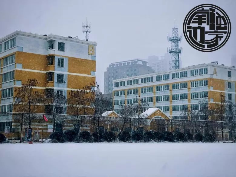 雪轻轻地下,我们和寝室楼一起静静地睡寂静·空旷·落雪,还有等着