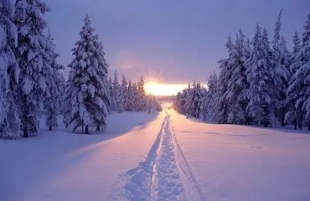怎么看会不会下雪 97c04f10c7c34bfa8bd54729c93c1d51.jpeg