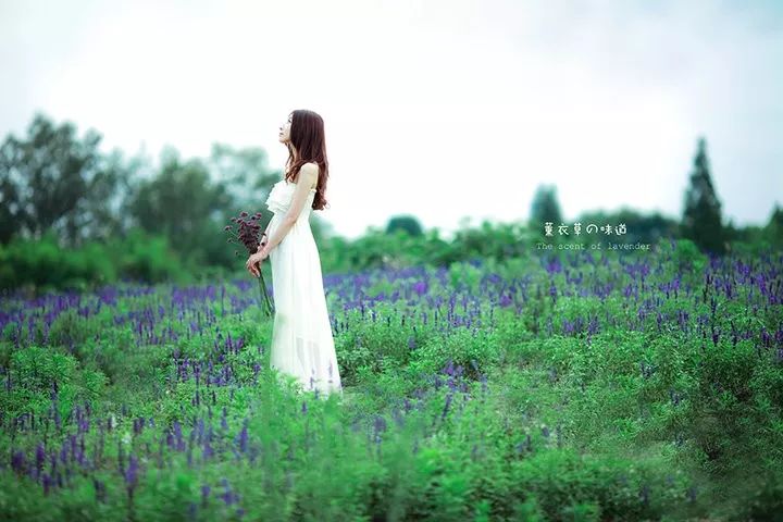 亲爱的朋友,感恩一路有你