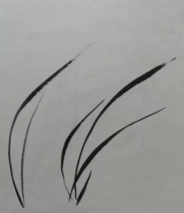 a91c645cc2354c9192f0977278036d4f.JPG