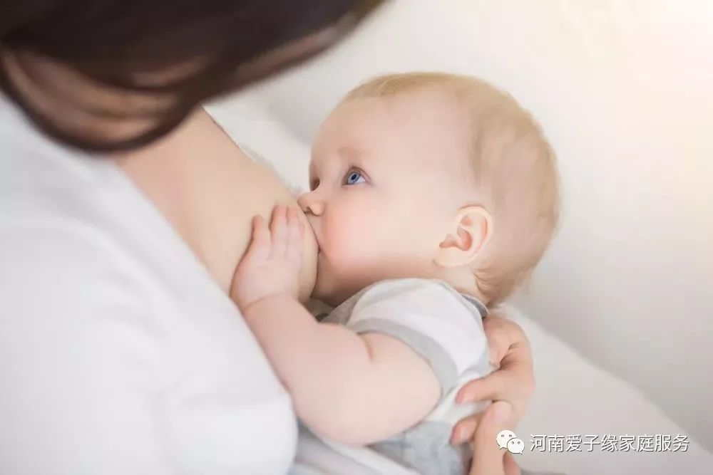 怎么才能高效母乳喂养，爱子缘专业月嫂给你支招！