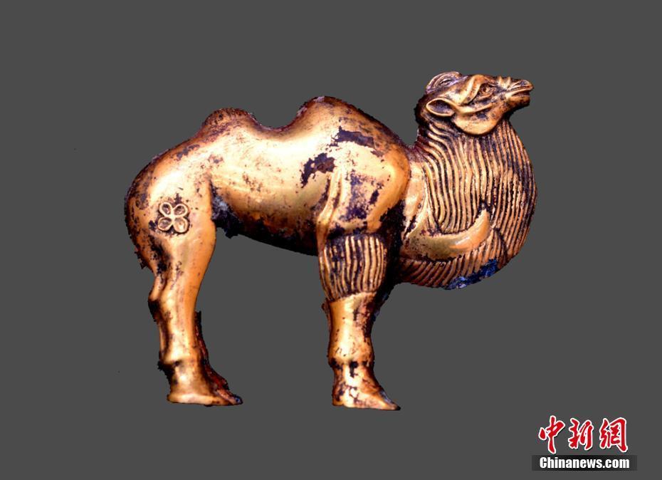 秦始皇陵陵西发现大型墓葬出土珍贵金骆驼