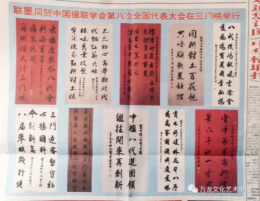 万卷两行字 千秋一寸心||青年书法家豆万龙当选中国楹联学会第八届